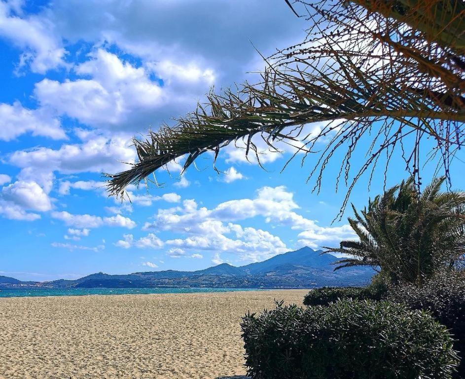 Joli Studio Cabine 4 Personnes A 300 M De La Plage Argelès-sur-Mer Exterior foto