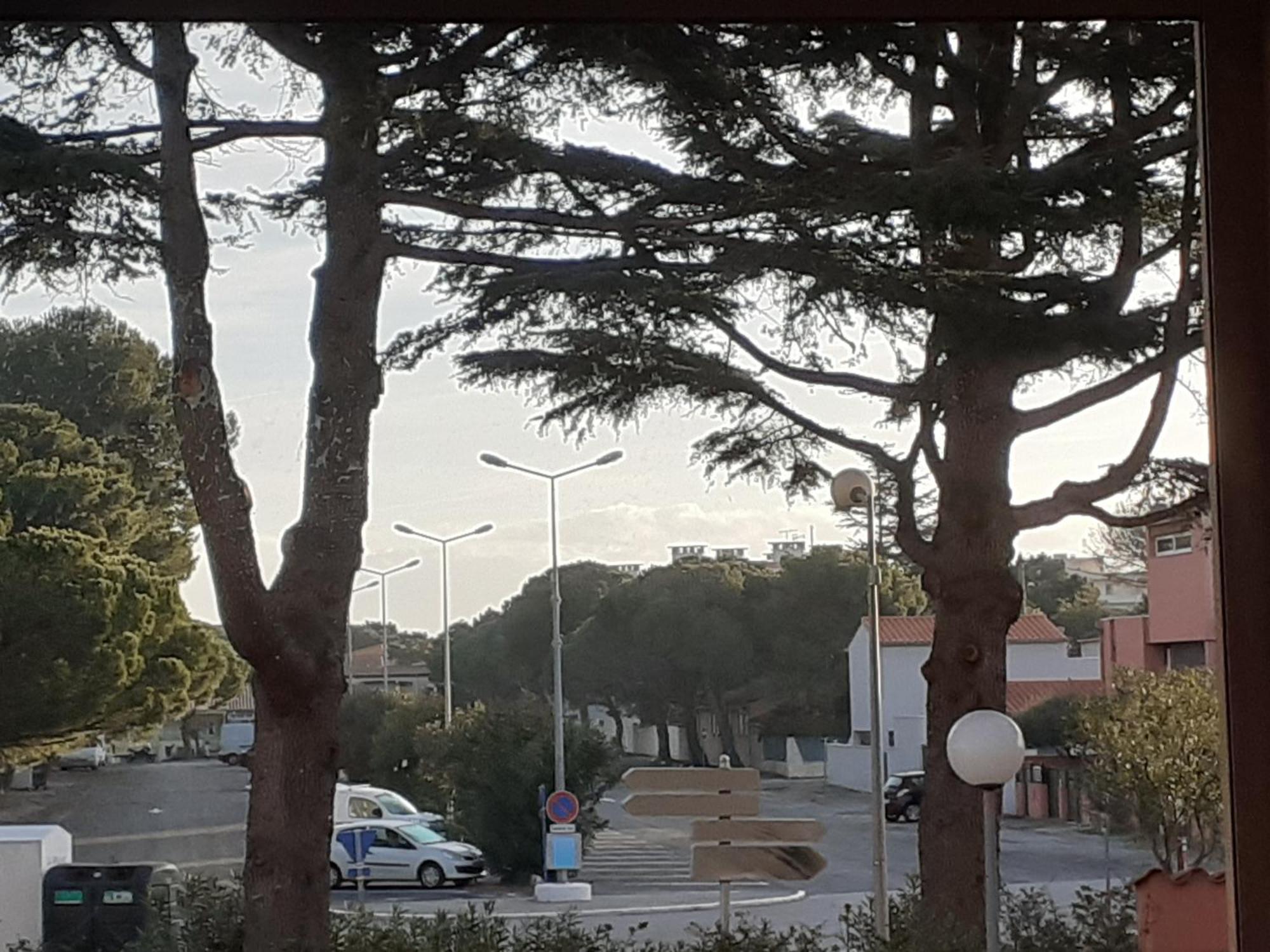 Joli Studio Cabine 4 Personnes A 300 M De La Plage Argelès-sur-Mer Exterior foto